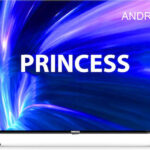 PRINCESS PS43FHD